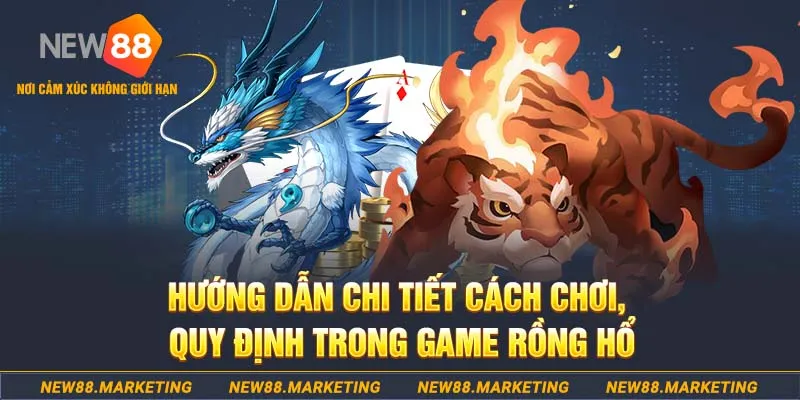 Thuật Ngữ Rồng Hổ