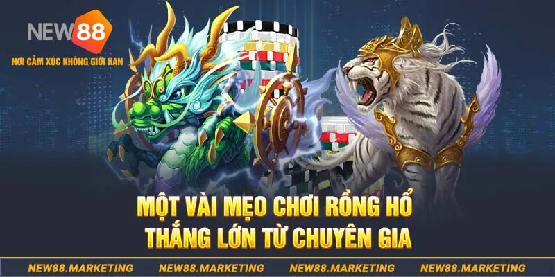 Thể Lệ Rồng Hổ